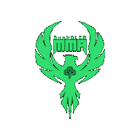 Grappling Mixed Martial Arts Sticker by Chandler MMA