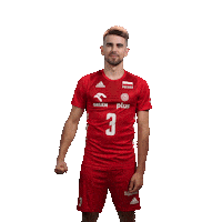 Pzps Sticker by Polska Siatkowka