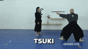 martial arts mma GIF by AKBAN Academy