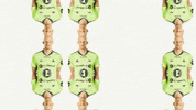 Rosenborg GIF by RBK