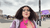 Twitch Netherlands GIF