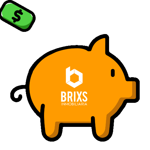 Money Invest Sticker by BRIXS