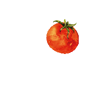 Notchie food red green vegan Sticker