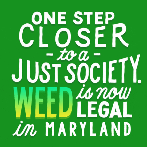 Text gif. Stylized letters in white and yellow-green on a kelly-green background. Text, "One step closer to a just society, Weed is now legal in Maryland."