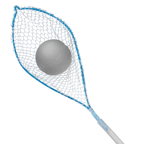 net GIF