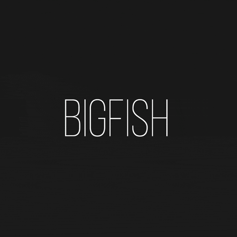 BigFishMena giphyupload fish big bigfish GIF