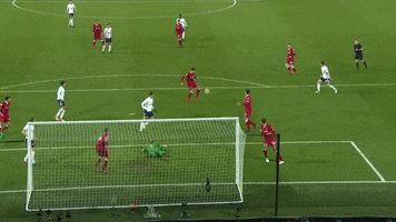 London Football GIF by Tottenham Hotspur