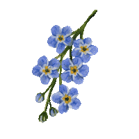 Flower Garden Flowers Sticker