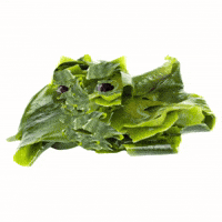 Kelp Krew Kelp Baby GIF