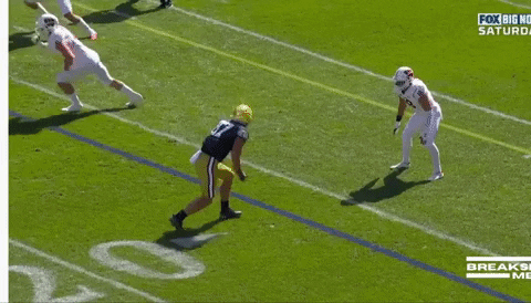 tsco1035 giphyupload GIF