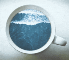 Monday GIF by Sport Decouverte