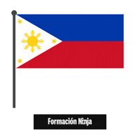 Philippines Flag Sticker by Formación Ninja