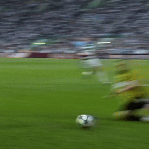 Arad GIF by FC Kairat