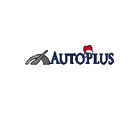 Hyundai Citroen Sticker by Autoplus Olbia