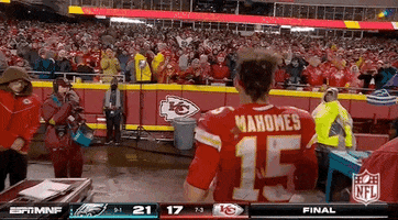 National Football League GIF by NFL