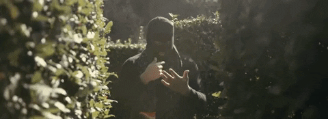 birds GIF by M Huncho