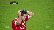 Sl Benfica Gabriel GIF by Sport Lisboa e Benfica