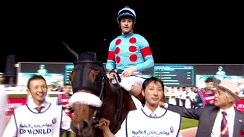 winning peace out GIF by World Horse Racing