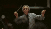 boomer sooners GIF by University of Oklahoma