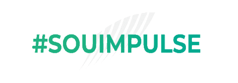aracaju Sticker by Impulse