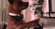 Piano Clubhouse GIF by Gallery.fm