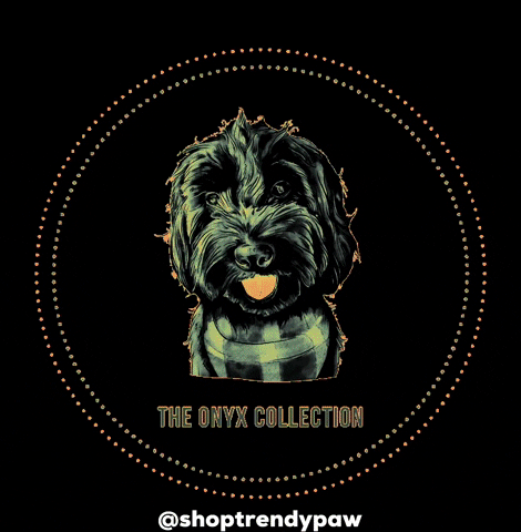shoptrendypaw dog doodle onyx cockapoo GIF