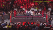 The Shield Team GIF