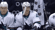 Ice Hockey Hello GIF by NHL