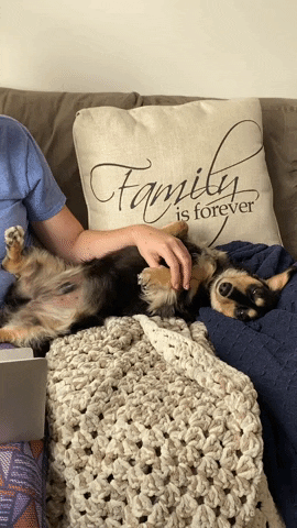 Relaxed Lounging GIF by Brian Benns