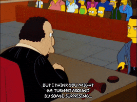 episode 8 judge GIF