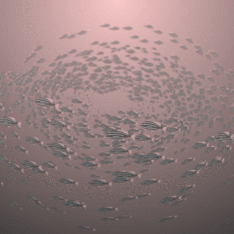 abstract GIF by Borrachas