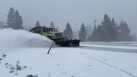 Snow Falls GIF by Storyful