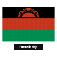 Flag Pixel Art Sticker by Formación Ninja