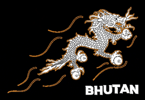 Kingdom Of Bhutan Travel GIF by drukasia