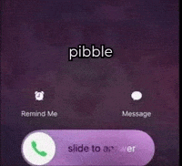 Pibble GIF