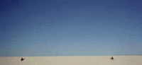 lawrence of arabia camels GIF by Maudit