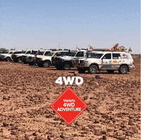 VarietyNSW  GIF