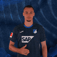 Sport Logo GIF by TSG Hoffenheim