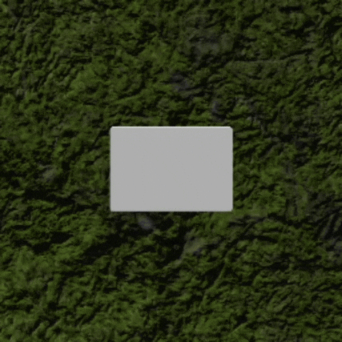 No Way What GIF by sillynub