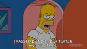 Episode 4 GIF by The Simpsons