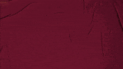 College Baseball GIF by Pearl River Athletics
