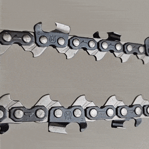 Garden Georgia GIF by Spektr