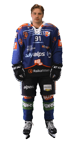 Ice Hockey Sport Sticker by Rittner Buam