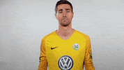 World Cup Football GIF by VfL Wolfsburg
