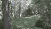 GIF by À Punt Mèdia