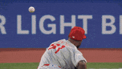 Home Run Baseball GIF by Toronto Blue Jays