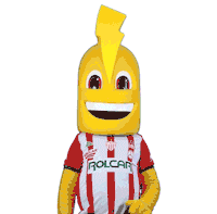 Stop Hands Sticker by Club Necaxa