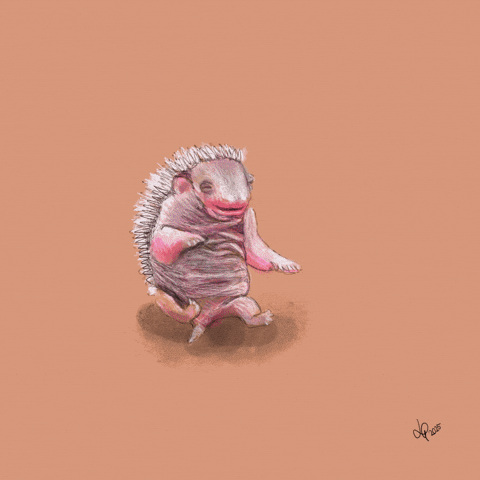 Digital Art Hedgehog GIF