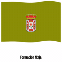 Flag Spain GIF by Formación Ninja