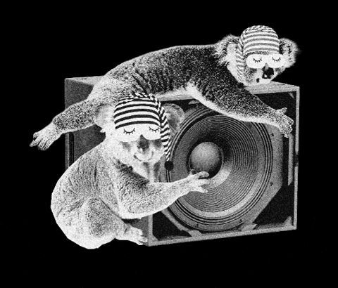 Hildesheim GIF by woodlands collective